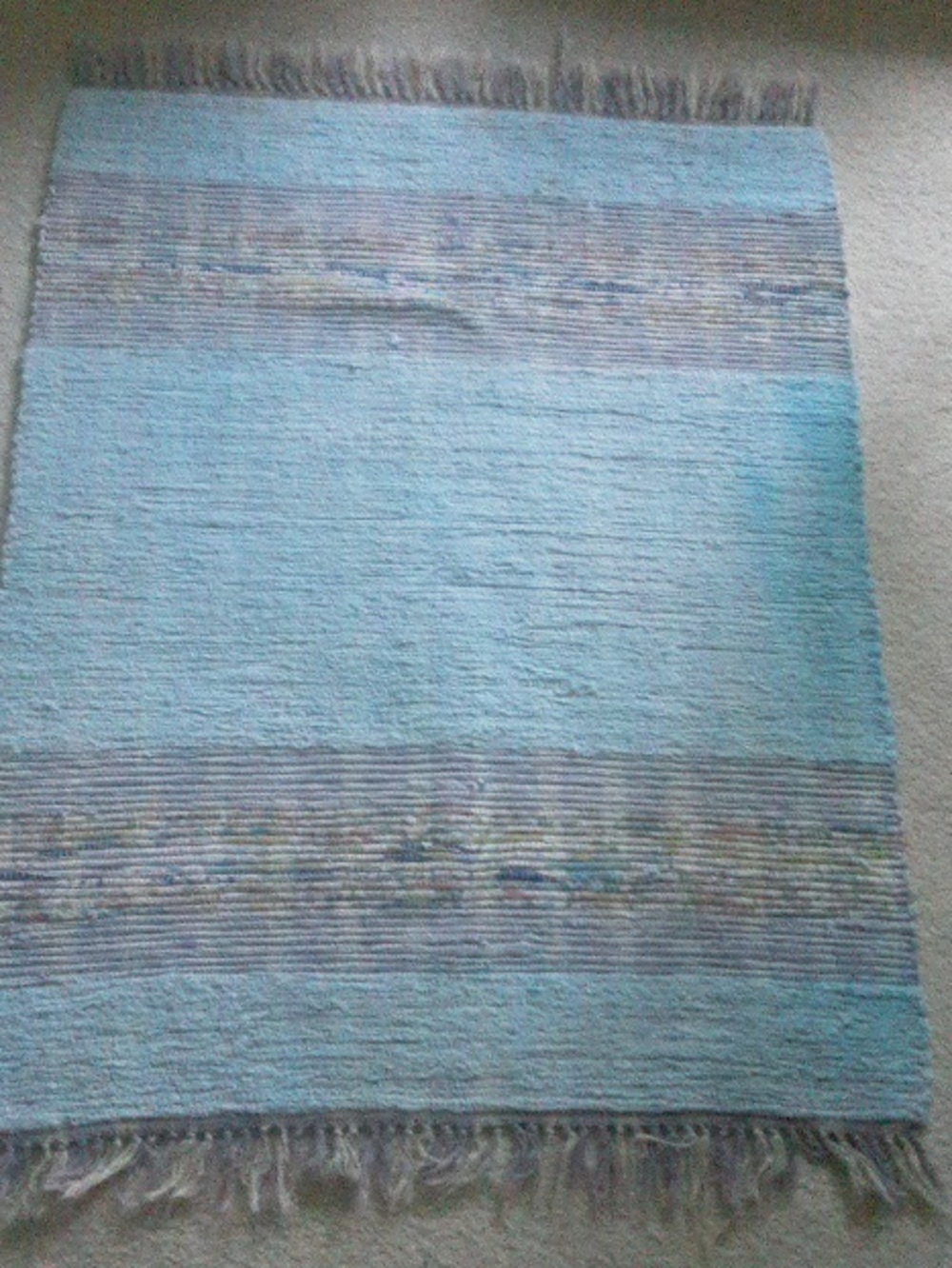 Reversible Light Blue Area Rug with Fringe